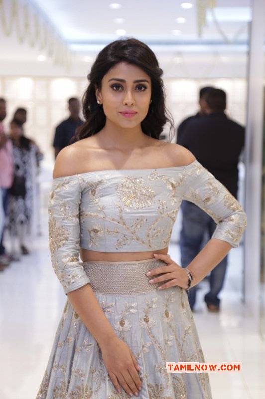 Latest Still Shriya Saran Movie Actress 6572