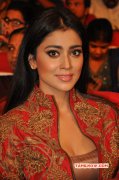 Latest Wallpaper Shriya Saran 9327