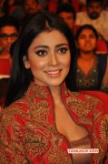 Movie Actress Shriya Saran Latest Stills 2703