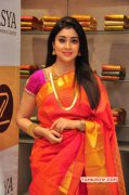 Recent Pictures Movie Actress Shriya Saran 3526