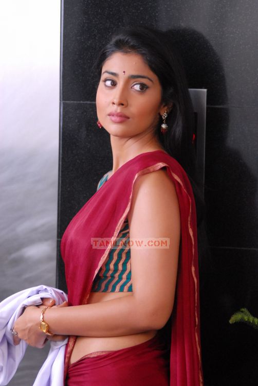 Shriya Saran 2138