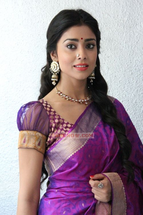 Shriya Saran 293