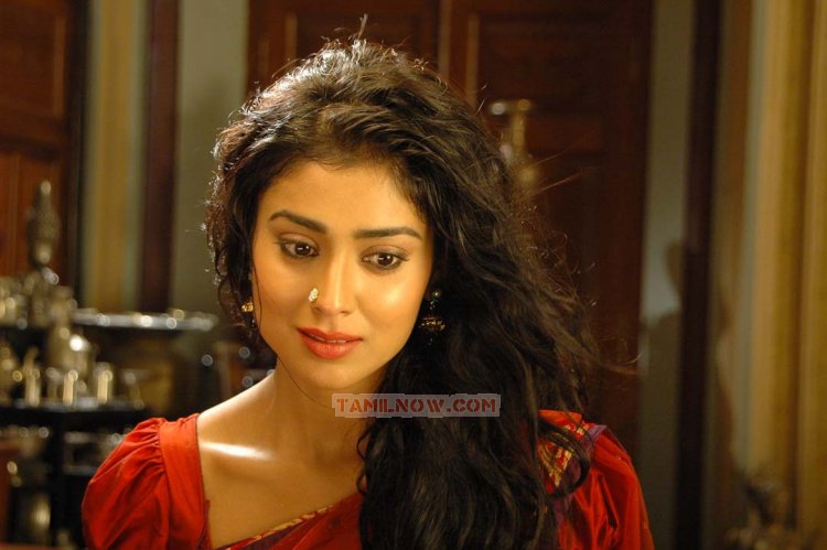 Shriya Saran 3350