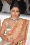 Shriya Saran 3520