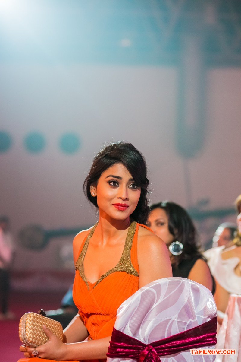 Shriya Saran 4427