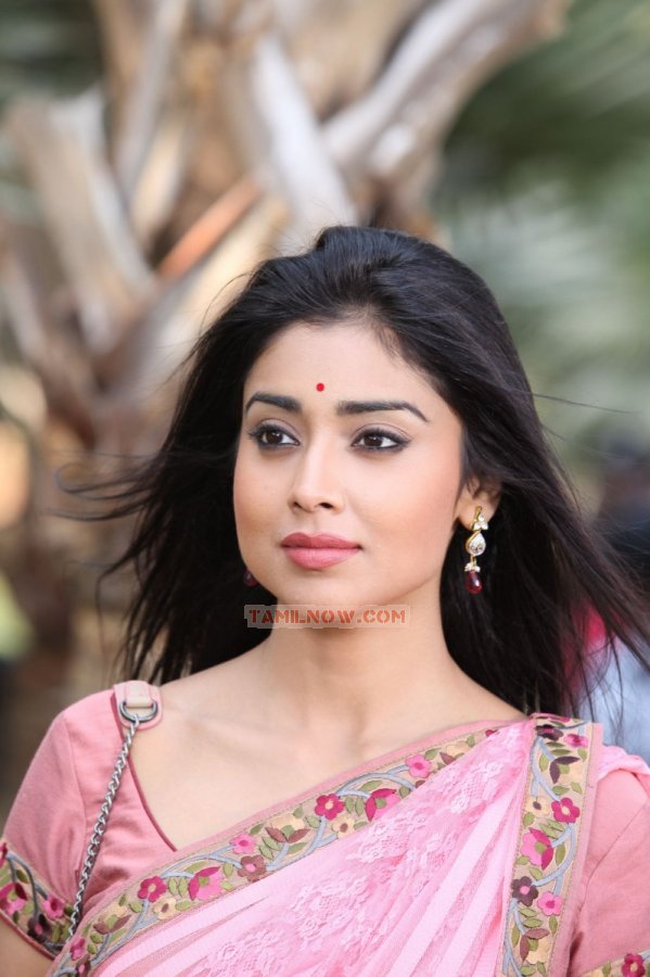 Shriya Saran 4506