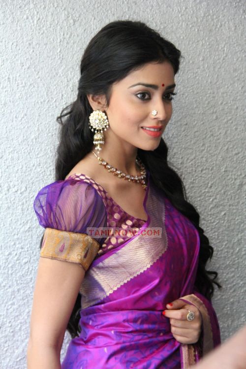 Shriya Saran 4734