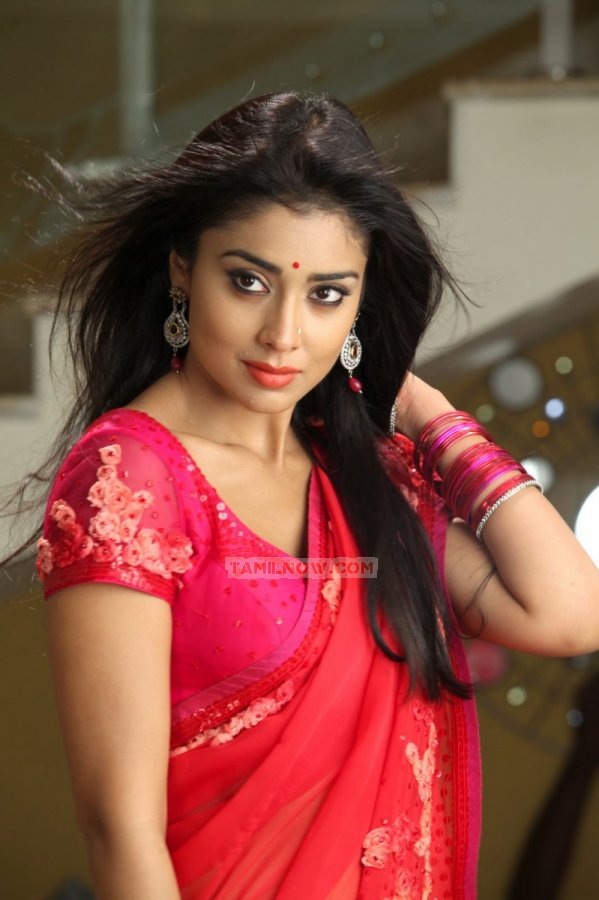 Shriya Saran 4808