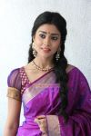 Shriya Saran 5071