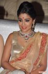 Shriya Saran 6307