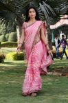 Shriya Saran 6658