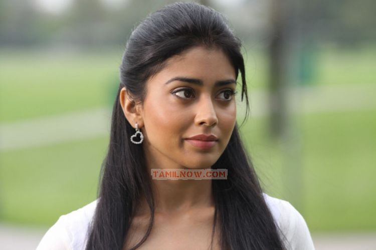 Shriya Saran 6894