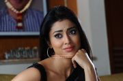 Shriya Saran 6901