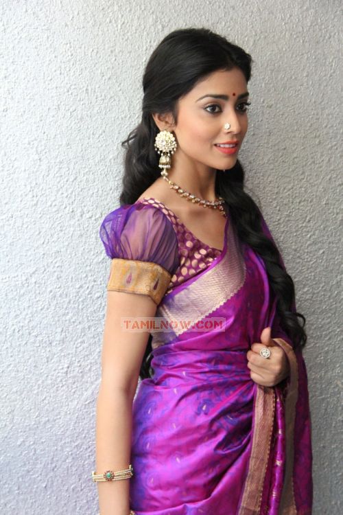 Shriya Saran 8659