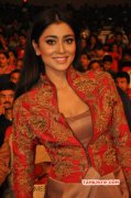 Shriya Saran Actress Jul 2015 Pics 7731