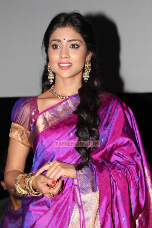 Shriya Saran Photos 2478