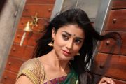 Shriya Saran Photos 4525