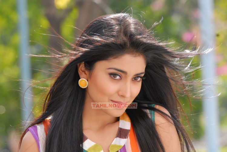 Shriya Saran Photos 5638