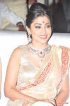 Shriya Saran Photos 7538