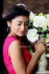 Shriya Saran Photos 8497