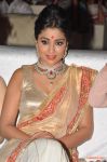 Shriya Saran Photos 8701