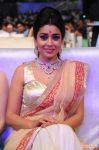 Shriya Saran Photos 9170