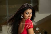 Shriya Saran Stills 101