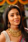 Shriya Saran Stills 1447