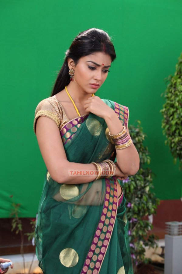 Shriya Saran Stills 2183