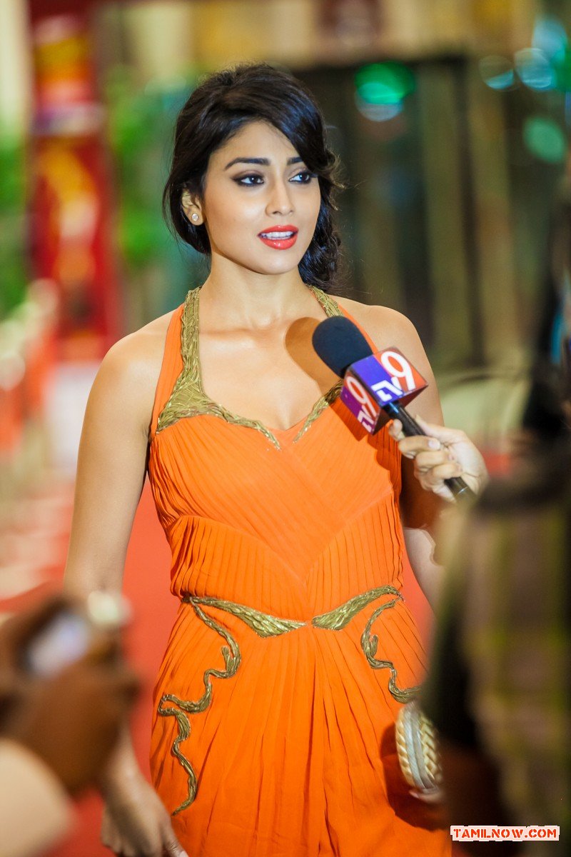 Shriya Saran Stills 305