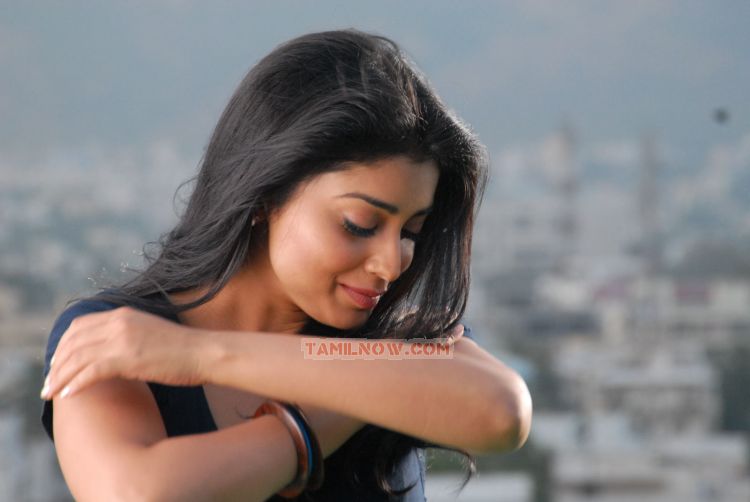 Shriya Saran Stills 3333