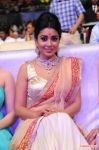 Shriya Saran Stills 433