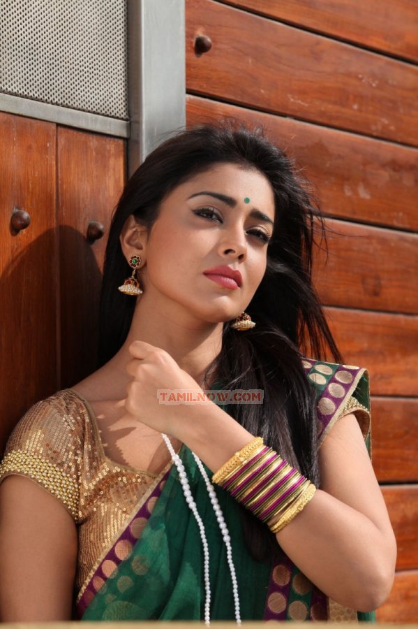 Shriya Saran Stills 572