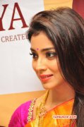 South Actress Shriya Saran 2015 Images 9515