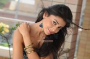 Tamil Actress Shriya Saran 3792