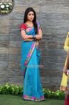 Tamil Actress Shriya Saran 3919