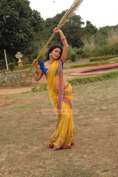 Tamil Actress Shriya Saran 5485