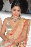 Tamil Actress Shriya Saran 5754