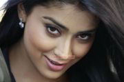 Tamil Actress Shriya Saran 612