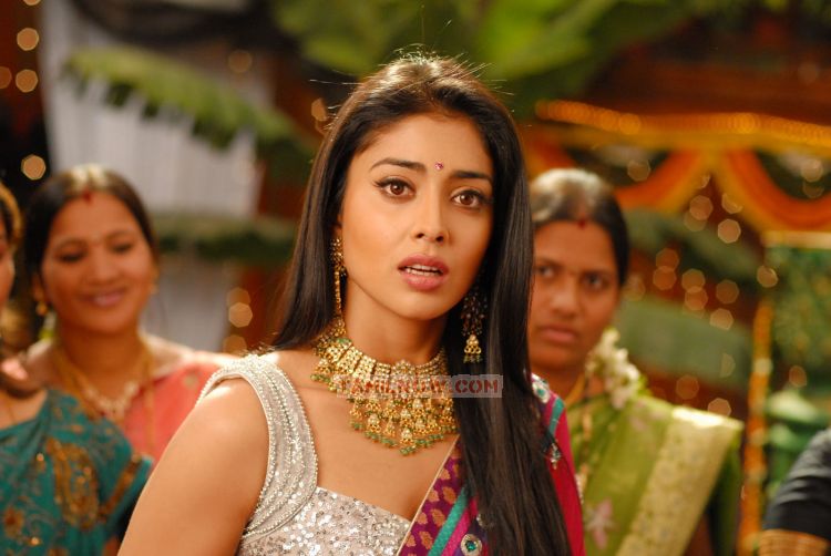 Tamil Actress Shriya Saran 711