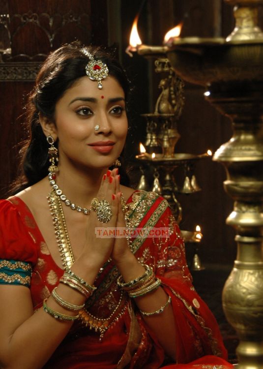 Tamil Actress Shriya Saran 7169