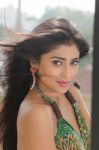 Tamil Actress Shriya Saran 7278