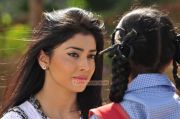 Tamil Actress Shriya Saran 9343