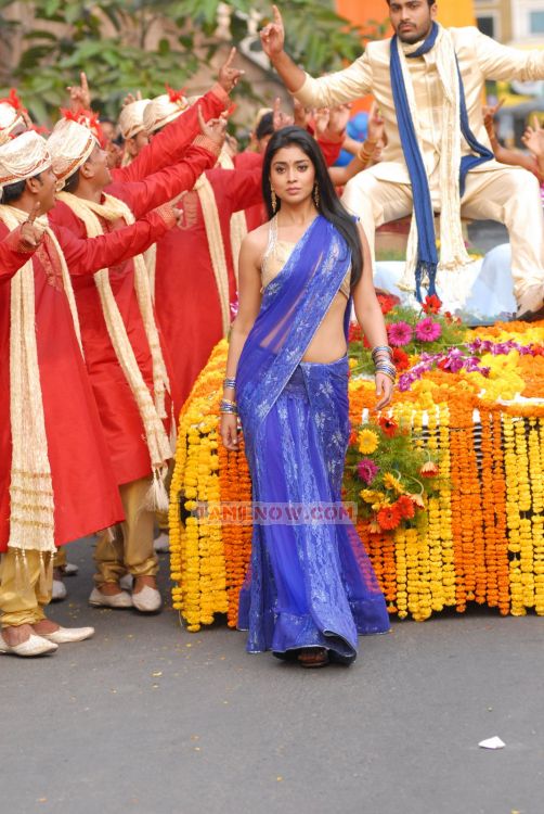 Tamil Actress Shriya Saran 9411