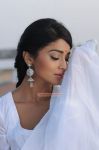 Tamil Actress Shriya Saran Photos 1089