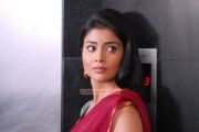 Tamil Actress Shriya Saran Photos 1224