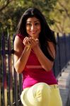 Tamil Actress Shriya Saran Photos 2941