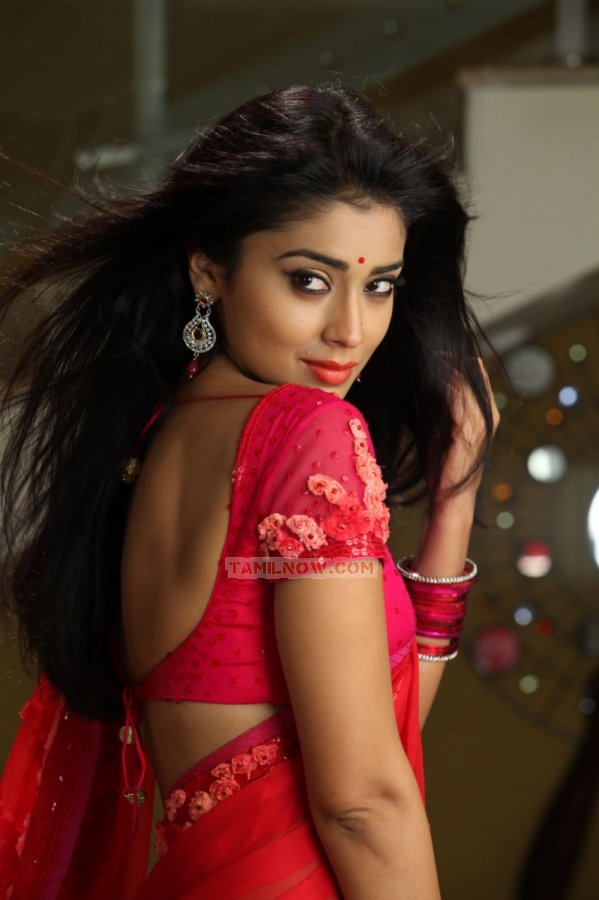 Tamil Actress Shriya Saran Stills 246