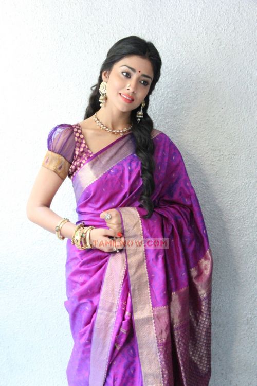 Tamil Actress Shriya Saran Stills 335