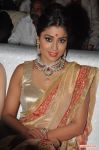 Tamil Actress Shriya Saran Stills 5956